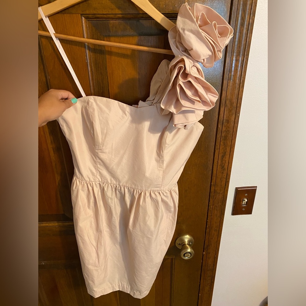 Pearl Georgina Chapman Of Marchesa Pastel Pink Dress (8)